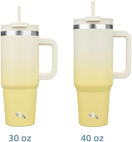 40 oz Insulated Tumbler with Handle and 2 Straws Stainless Steel Lemon