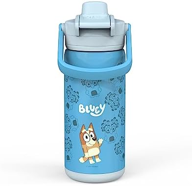 Zak Designs Stainless Steel INSULATED BEACON BOTTLE