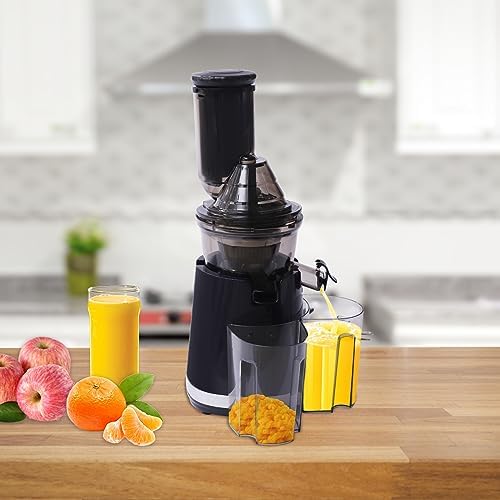 GDAE10 Masticating Juicer 250W Cold Press Slow Juicer with Large Feed Chute