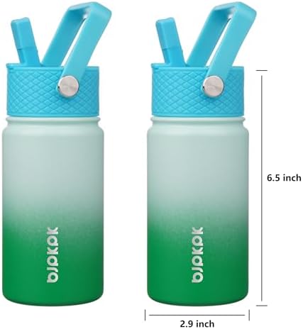 Reusable Insulated Water Bottle with Straw Lid