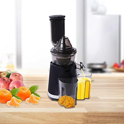 GDAE10 Masticating Juicer 250W Cold Press Slow Juicer with Large Feed Chute