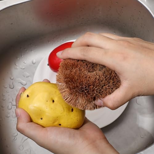 Natural Coconut Vegetable Scrubber with Hanging Loop