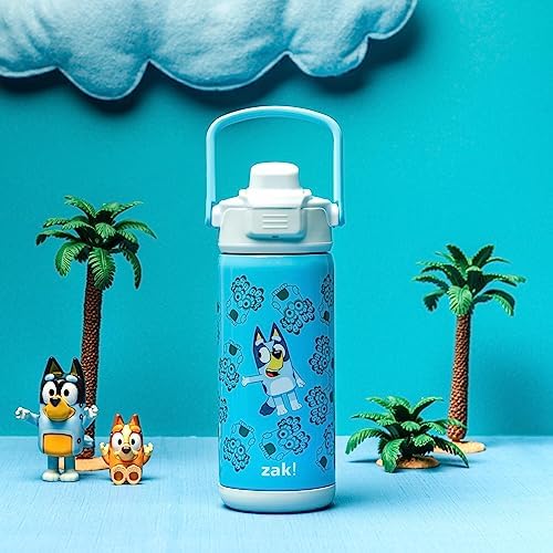 Zak Designs Stainless Steel INSULATED BEACON BOTTLE