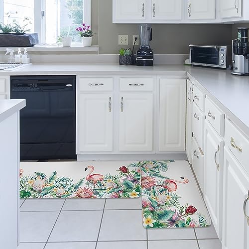 Carosoffe Tropical Kitchen Rugs 2-Pack Soft Non-Slip Absorbent Standing Mats